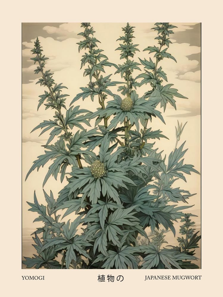 Yomogi Japanese Mugwort 2 Vintage Japanese Botanical Poster