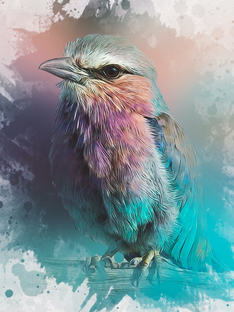 Colorful Bird Watercolor Abstract
