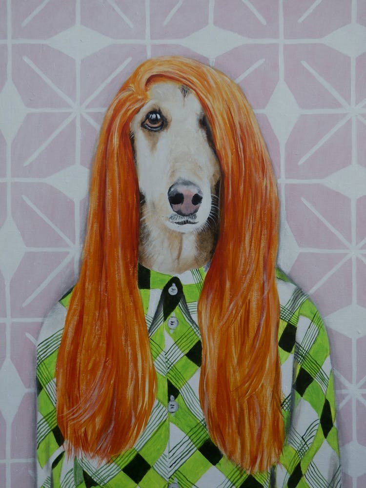 Afghan Dog Retro Style