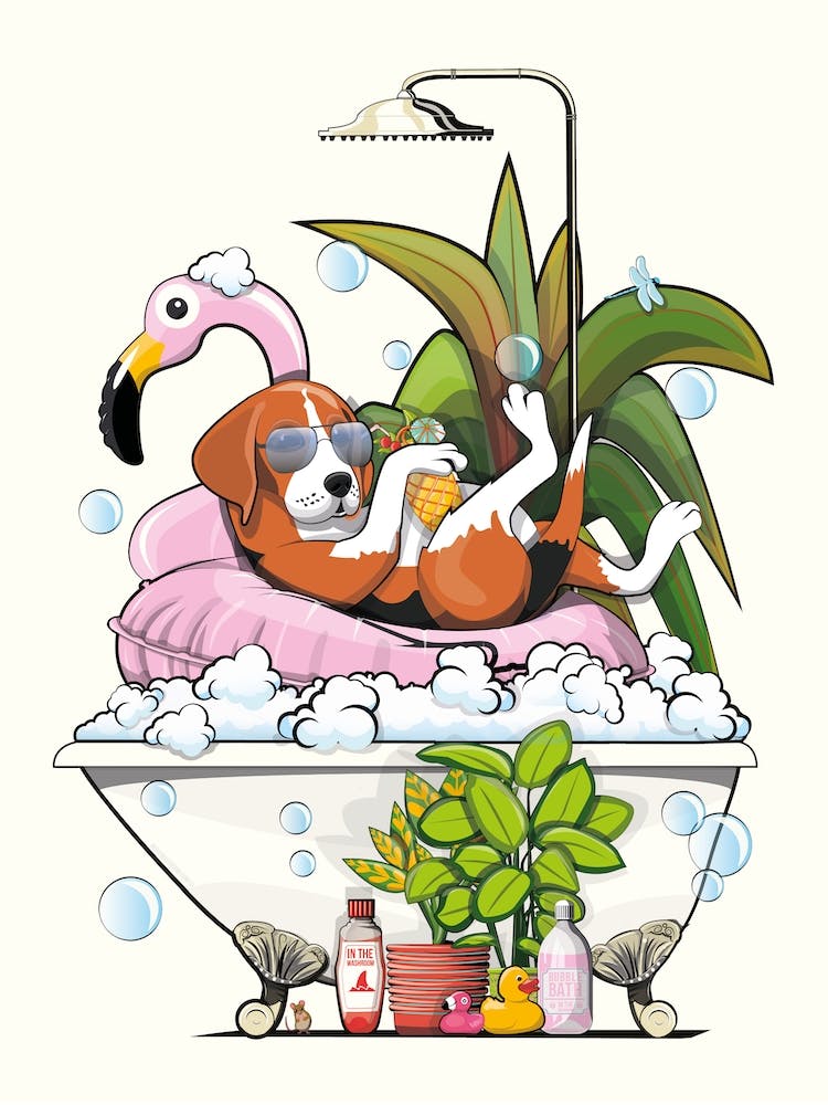 Beagle Dog In The Bath