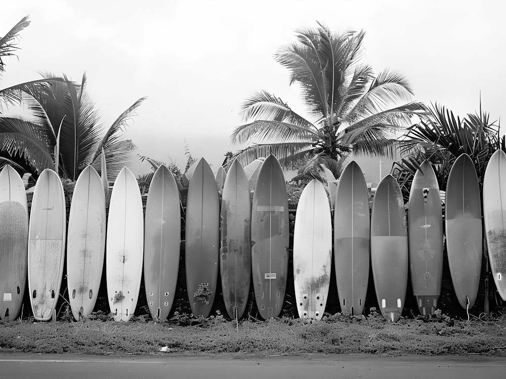Surfboards Lined Up