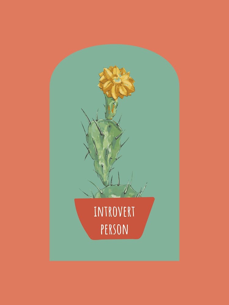 Introvert Cactus