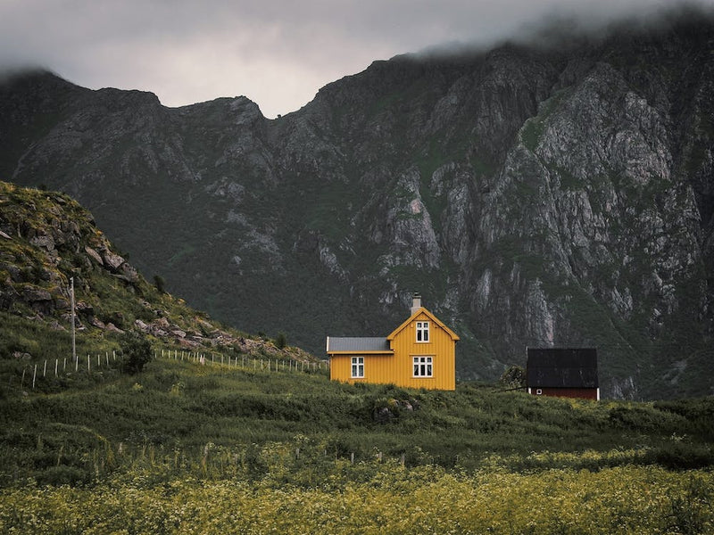 Yellow Mountain Cabin