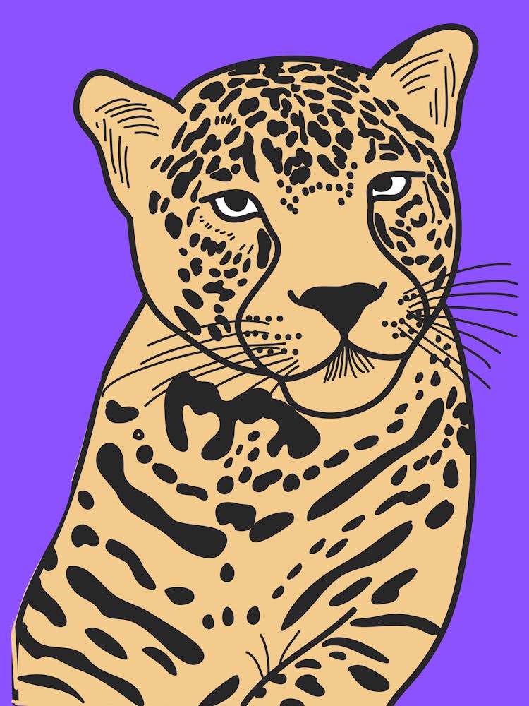 Leopard 6