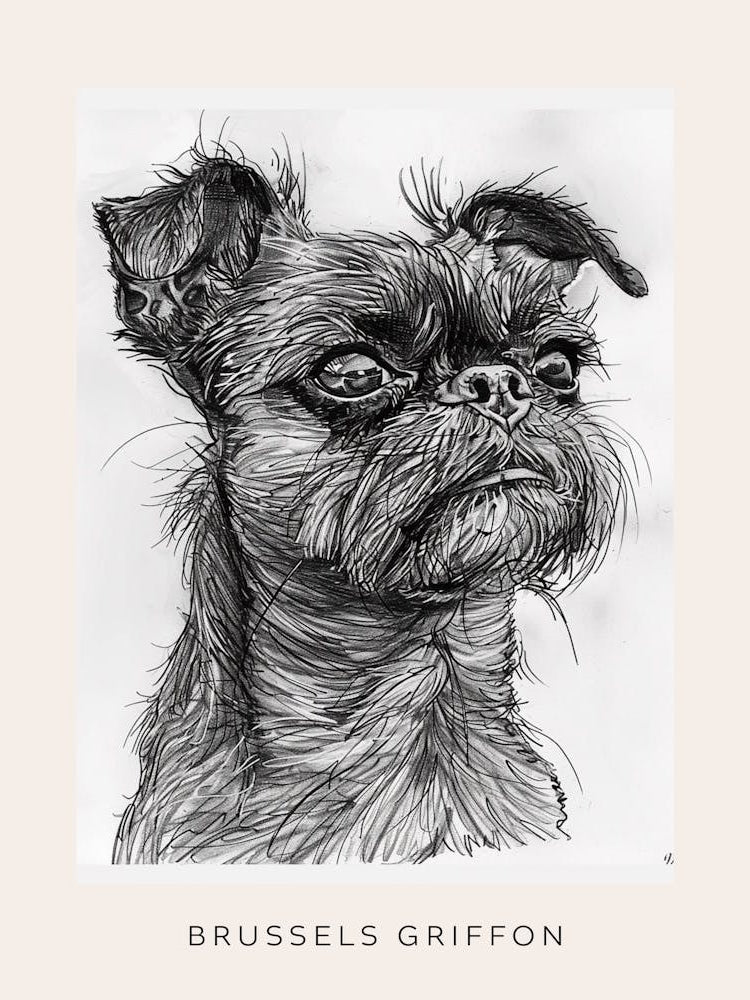 Brussels Griffon Line Sketch 1 Poster