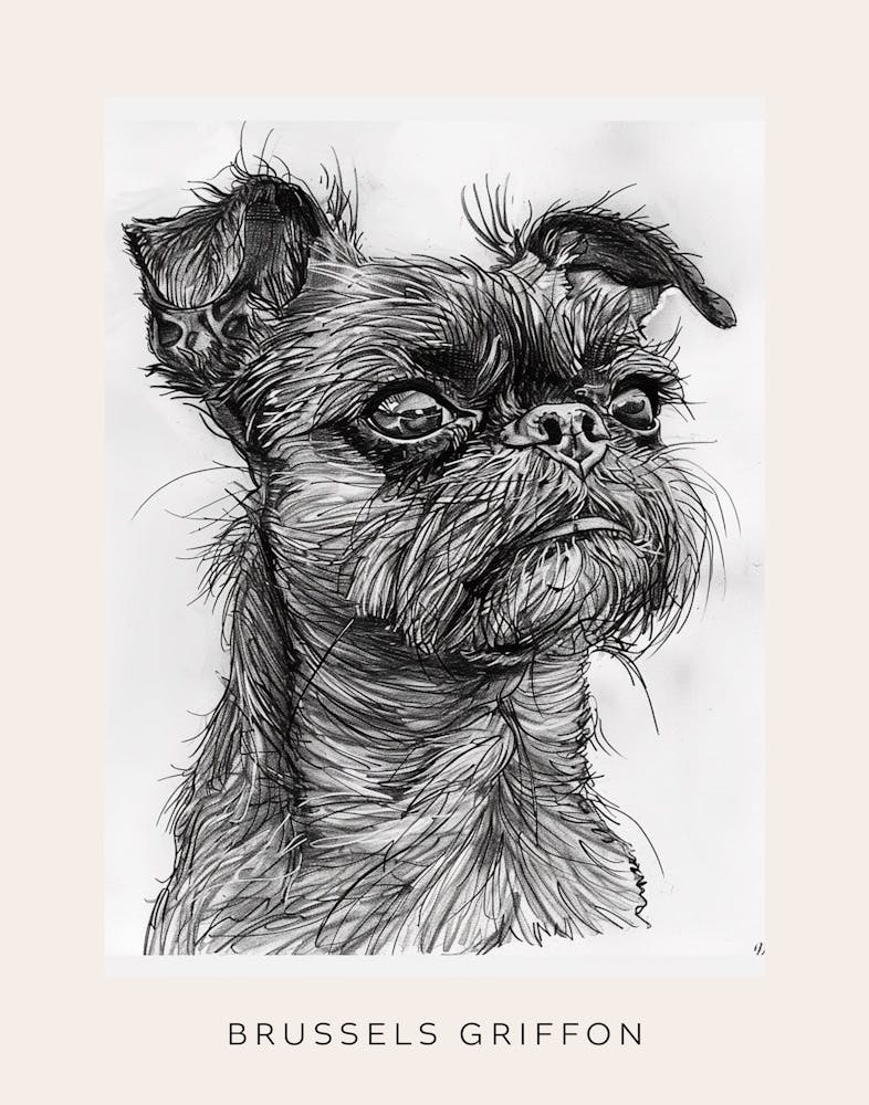 Brussels Griffon Line Sketch 1 Poster