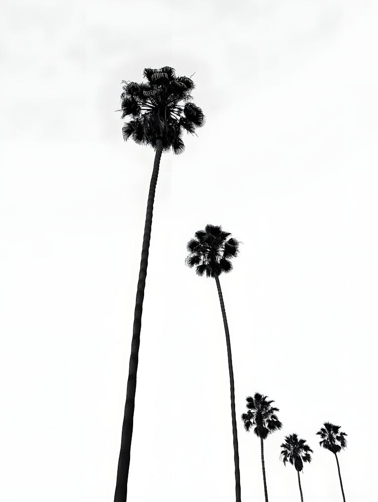 Palm Elegance – A Serene Tropical