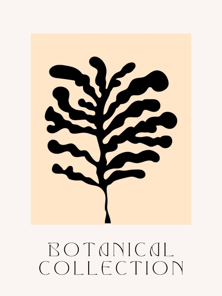 Botanical Collection