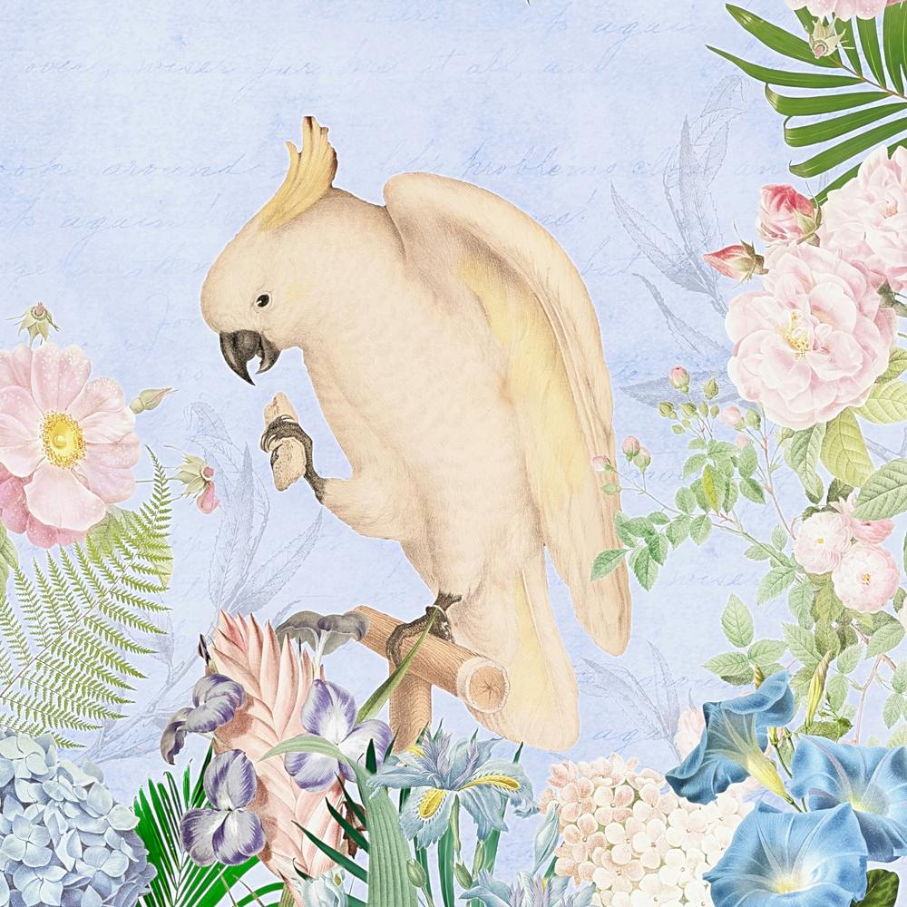 Tropical Cockatoo And Flowers Front
