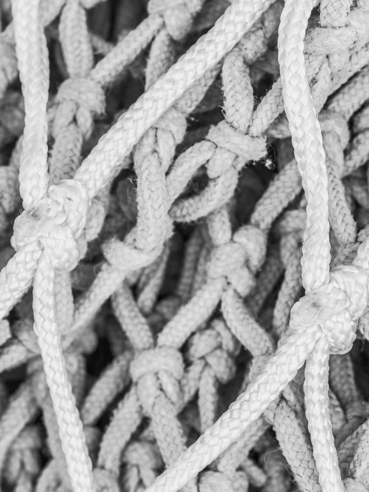 Black And White Image Of A Net 2