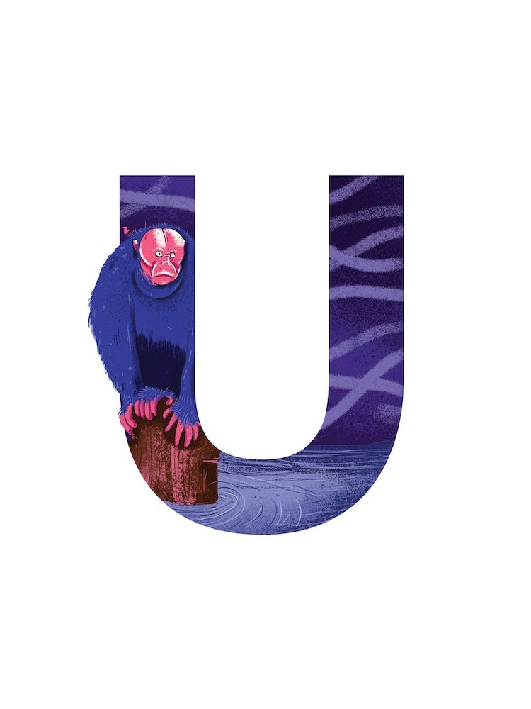U Is For Uakari