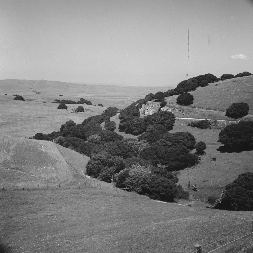 Untitled Photo, Possibly Related To San Benito County, California, Low Hills By Russell Lee