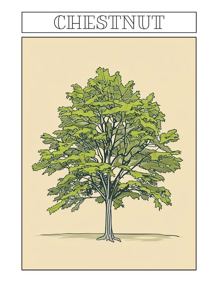 Chestnut Tree Minimalistic Drawing 4 Poster