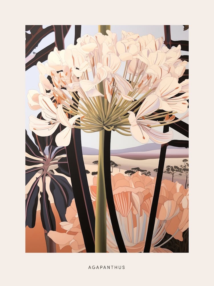 Flower Illustration Agapanthus 4 Poster