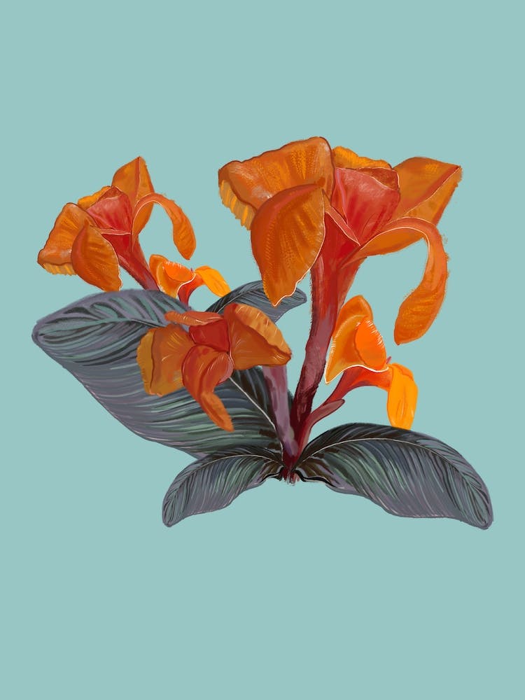Tropical Orange Flowers