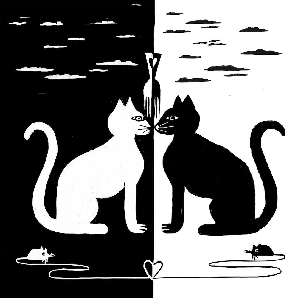 Schwarz Weiß Katze Maus Liebe