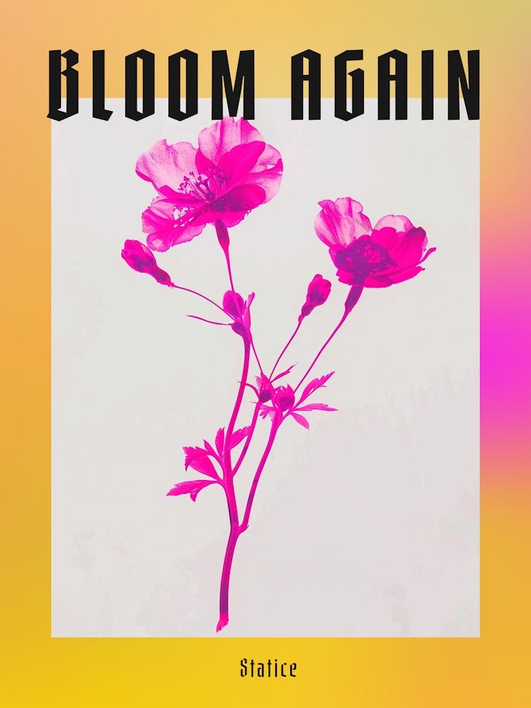 Hot Pink Statice 1 Poster