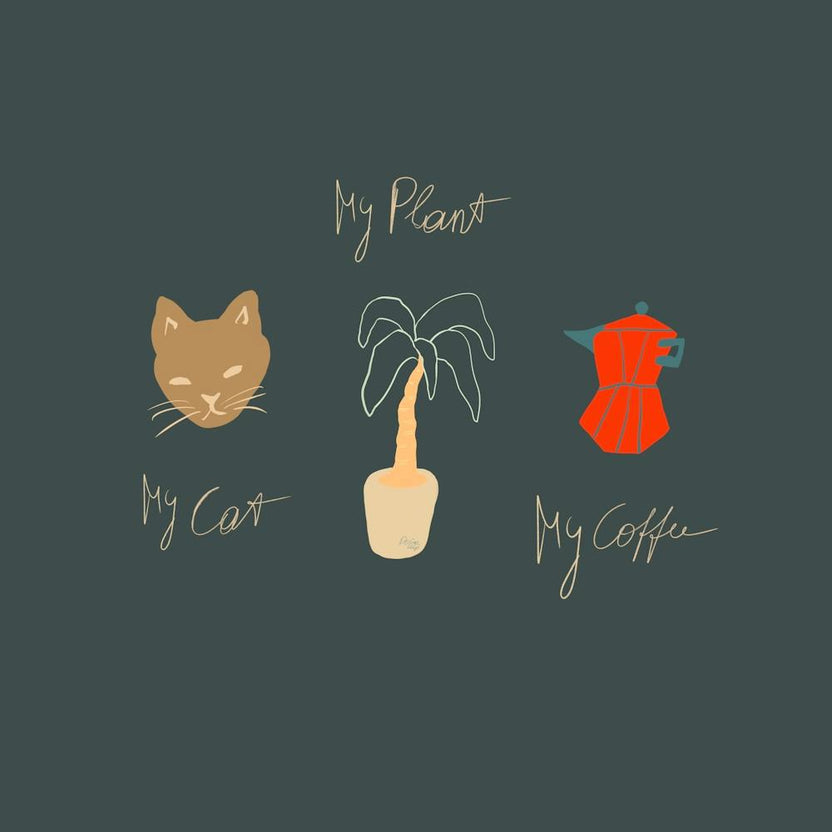 My Cat My Plant My Coffee