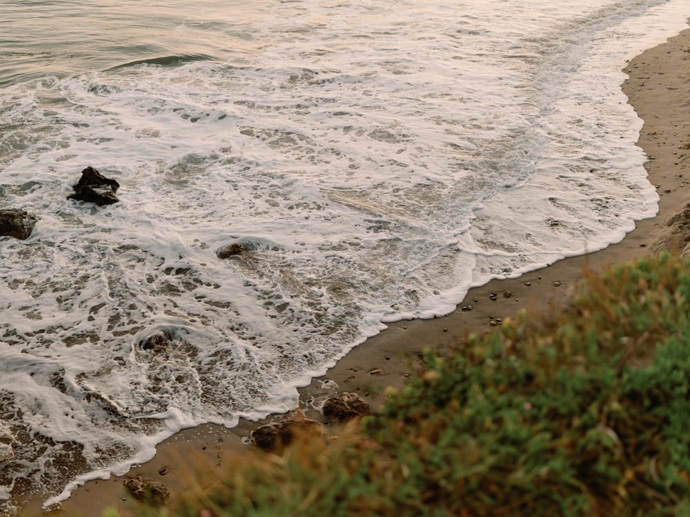 California Seashore