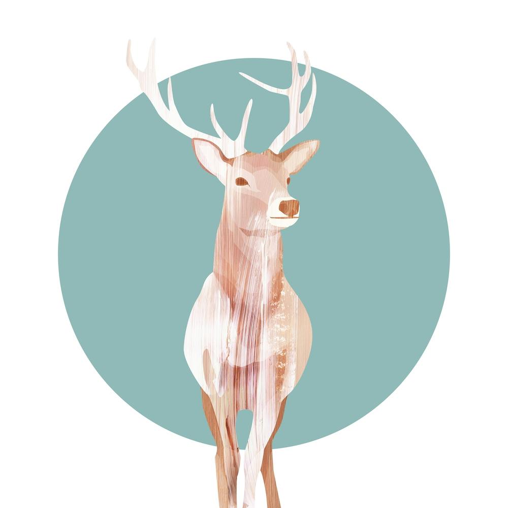 Winter Deer
