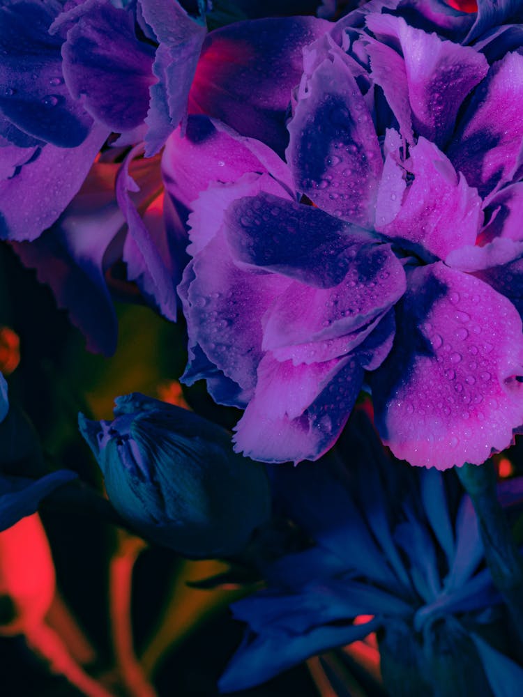 Purple Flowers 3