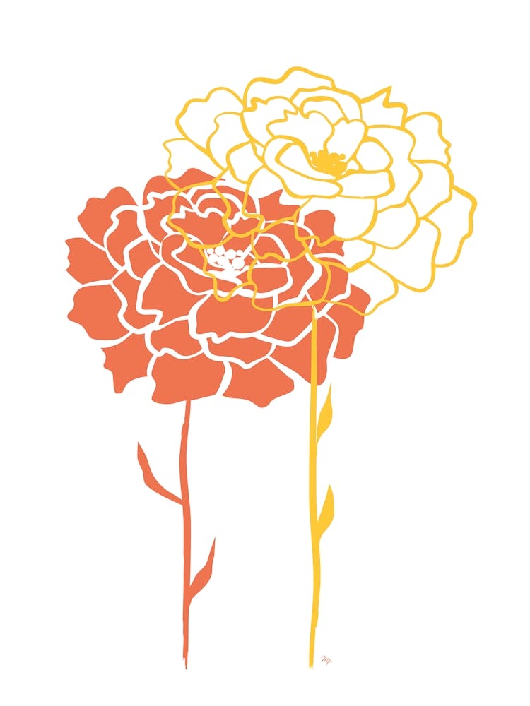 Orange Peonies