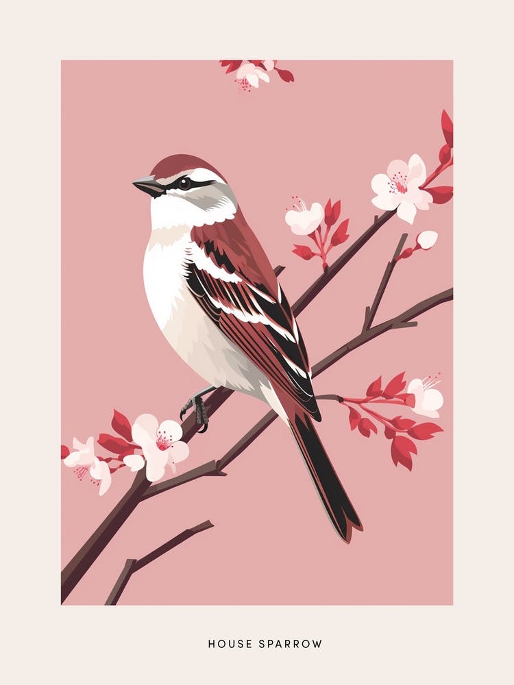 Minimalist House Sparrow 1 Bird Poster