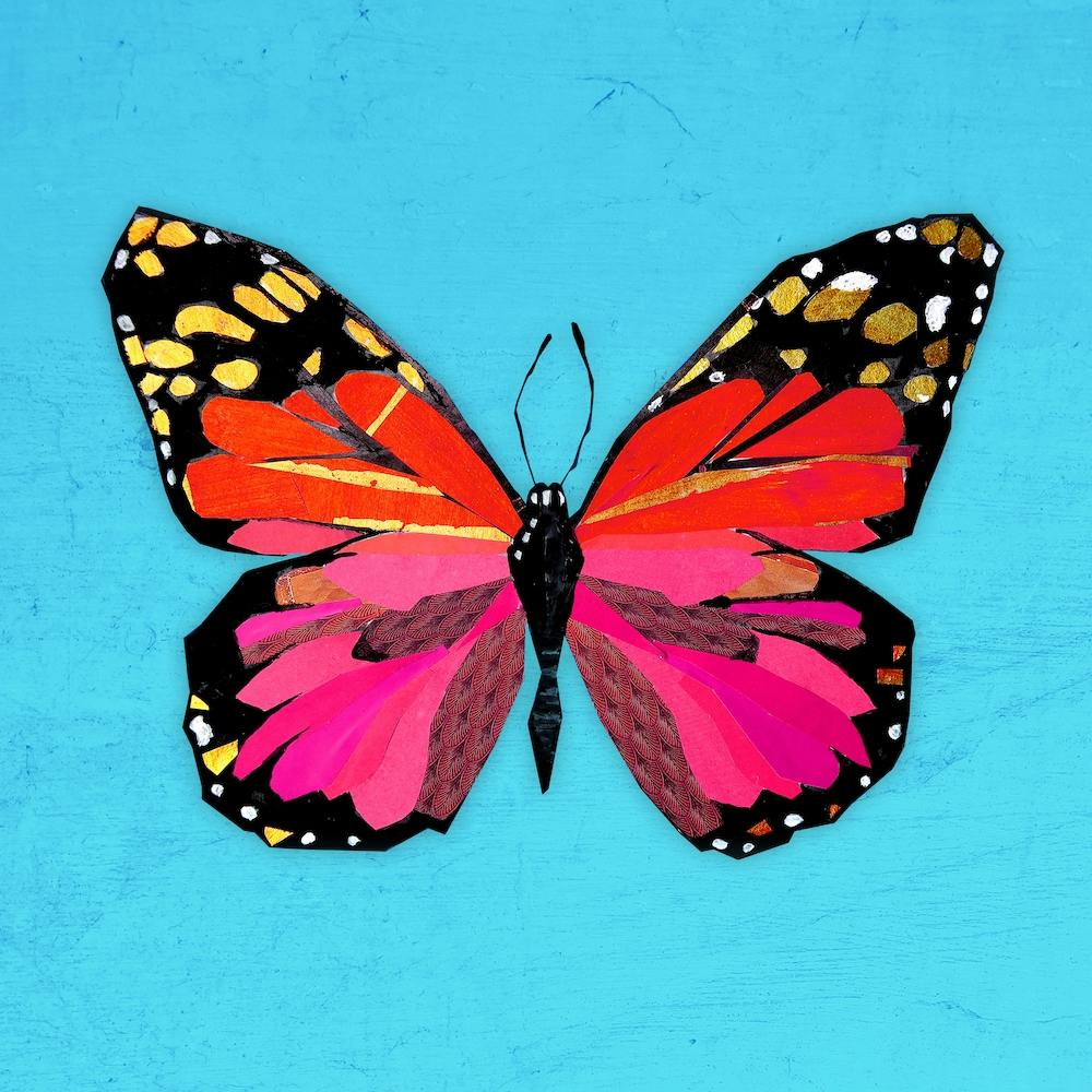 Butterfly In Red And Pink