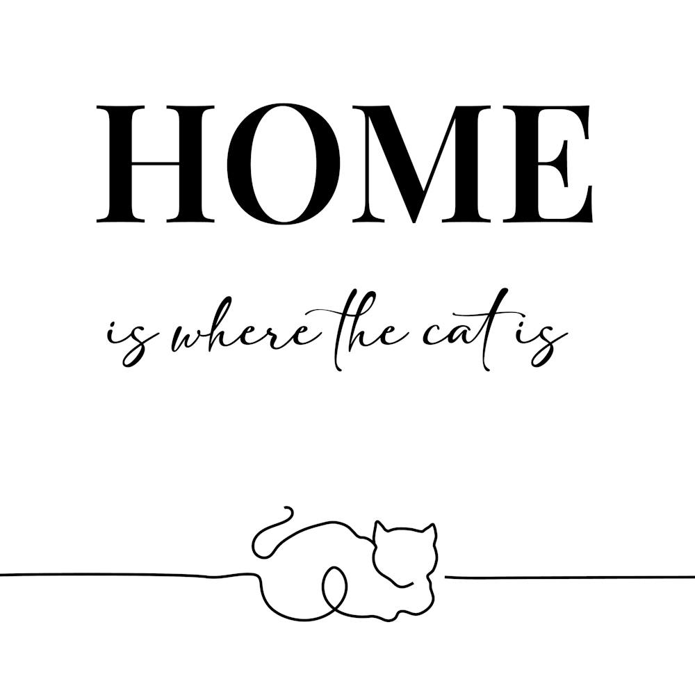 Home Is Where The Cat Is