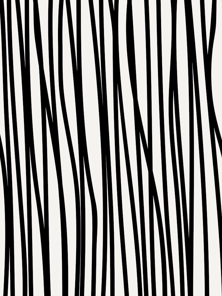 Zebra Stripes 24