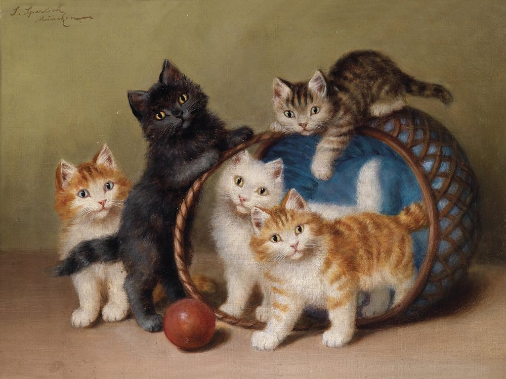 The Red Ball And The Kittens, Sophie Sperlich