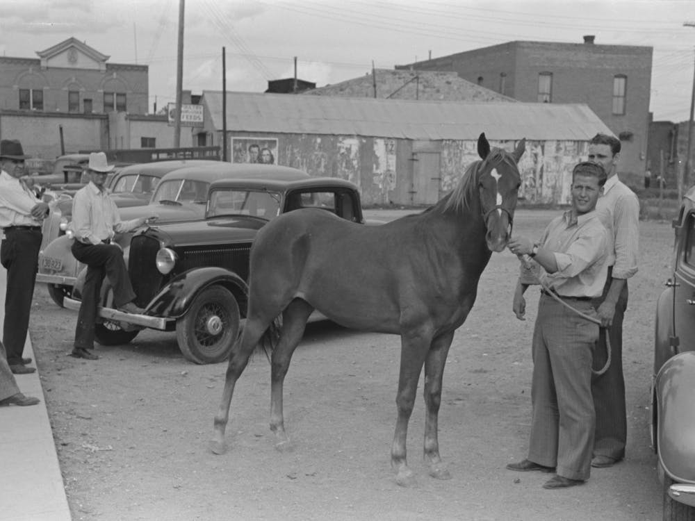 Untitled Photo, Possibly Related To Displaying A Horse For Sale On The Streets Of Alpine, Texas By Russell Lee