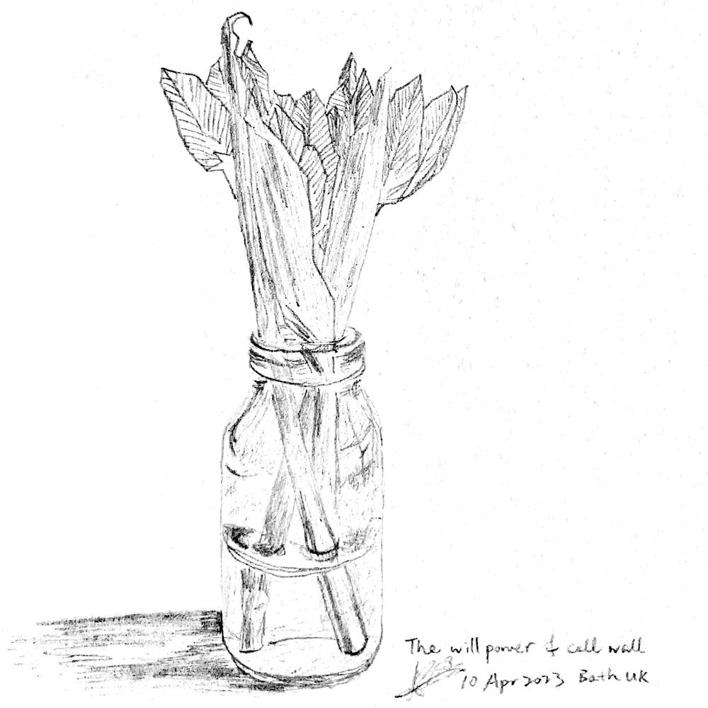 The Will Power of Cell Wall