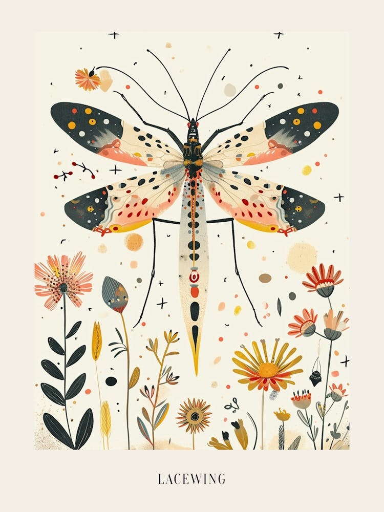 Colourful Insect Illustration Lacewing 11 Poster