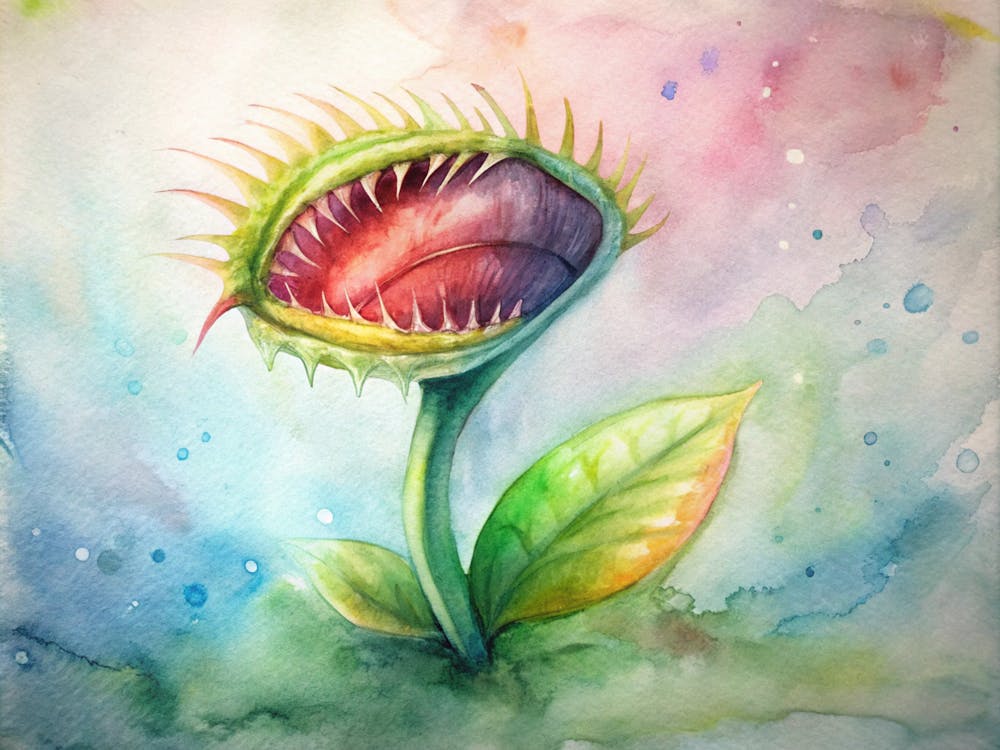 A Minimalist Design Of A Carnivorous Venus Flytrap (1)