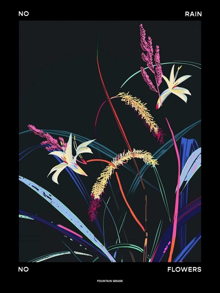 No Rain No Flowers Poster Fountain Grass 3