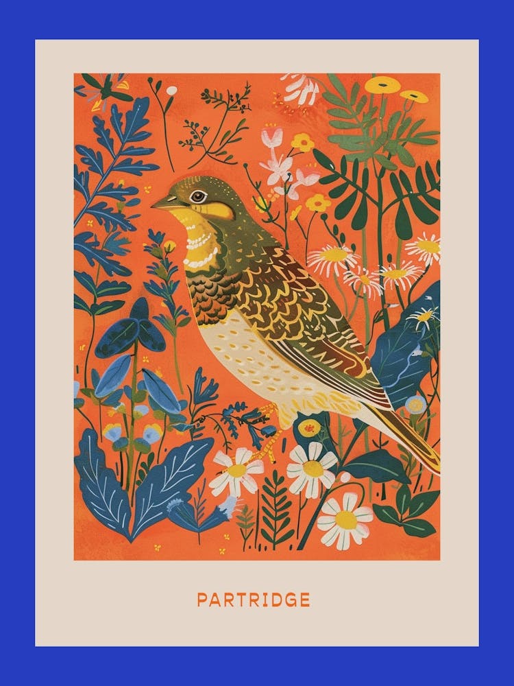Spring Birds Poster Partridge 2