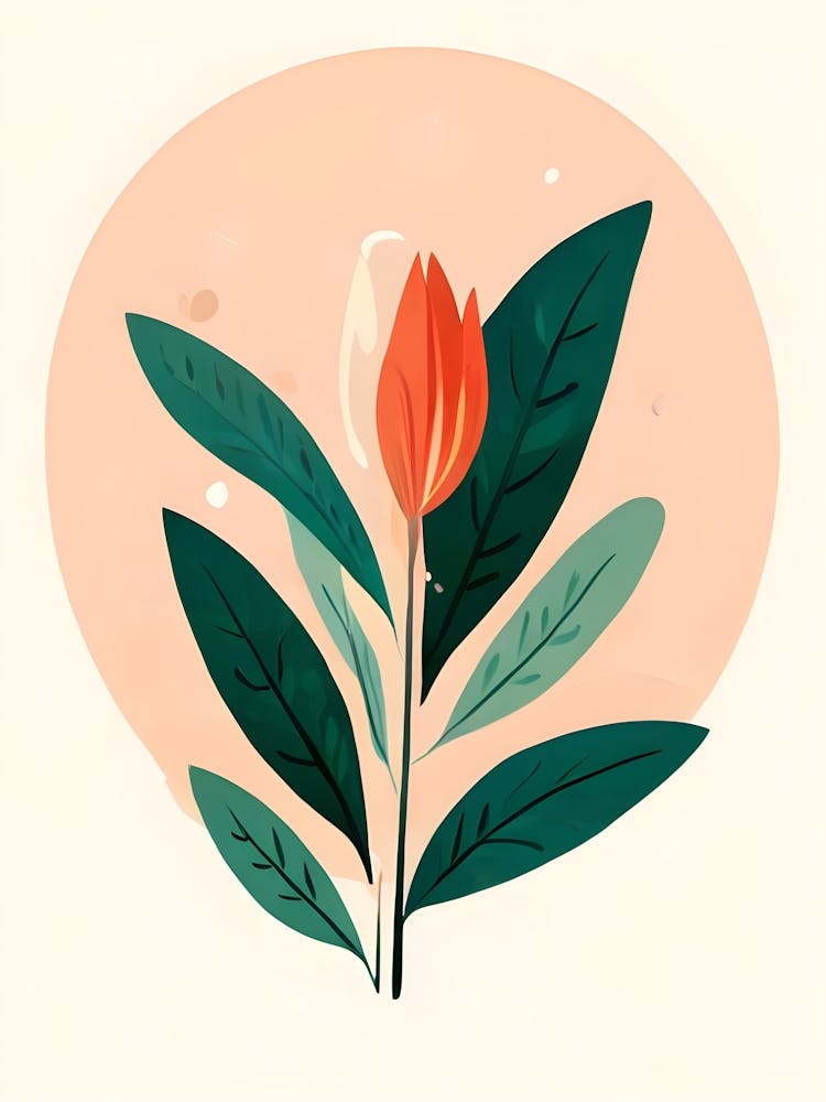 Tulip 4