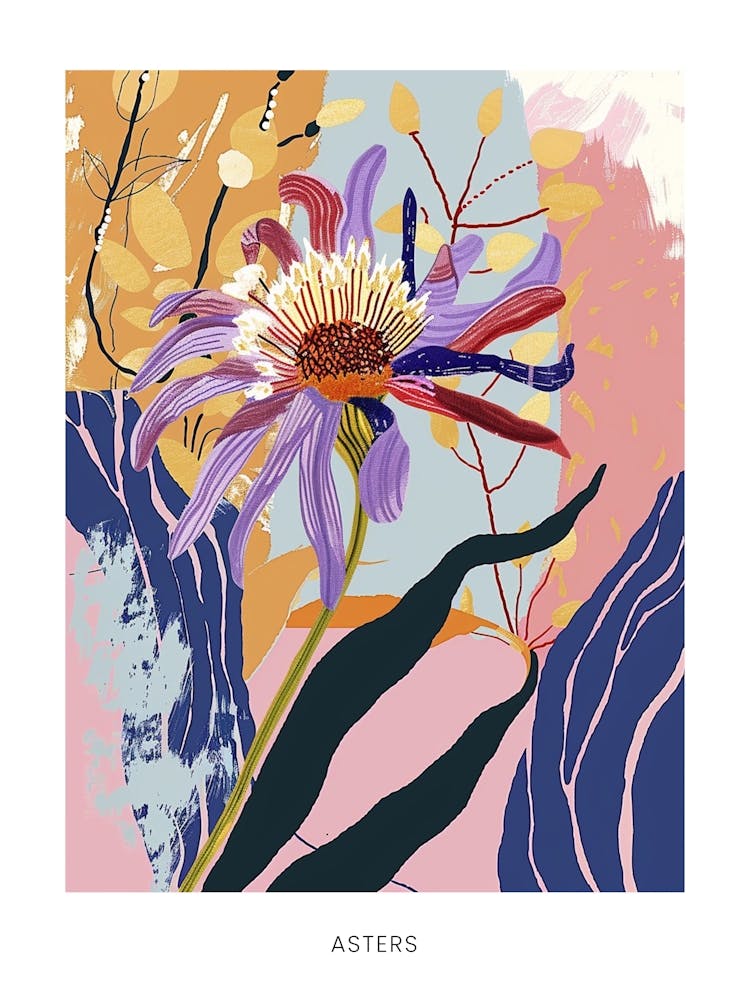 Colourful Flower Illustration Poster Asters 5