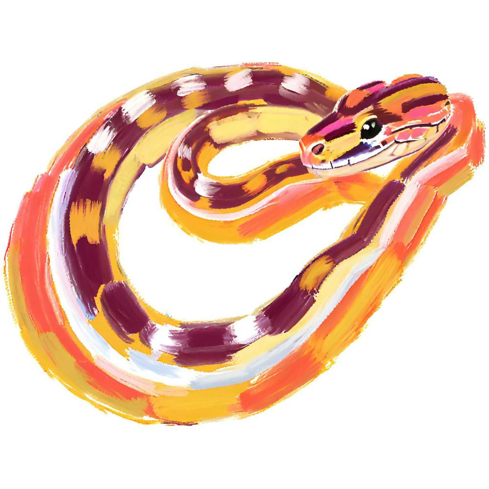 Corn Snake 03