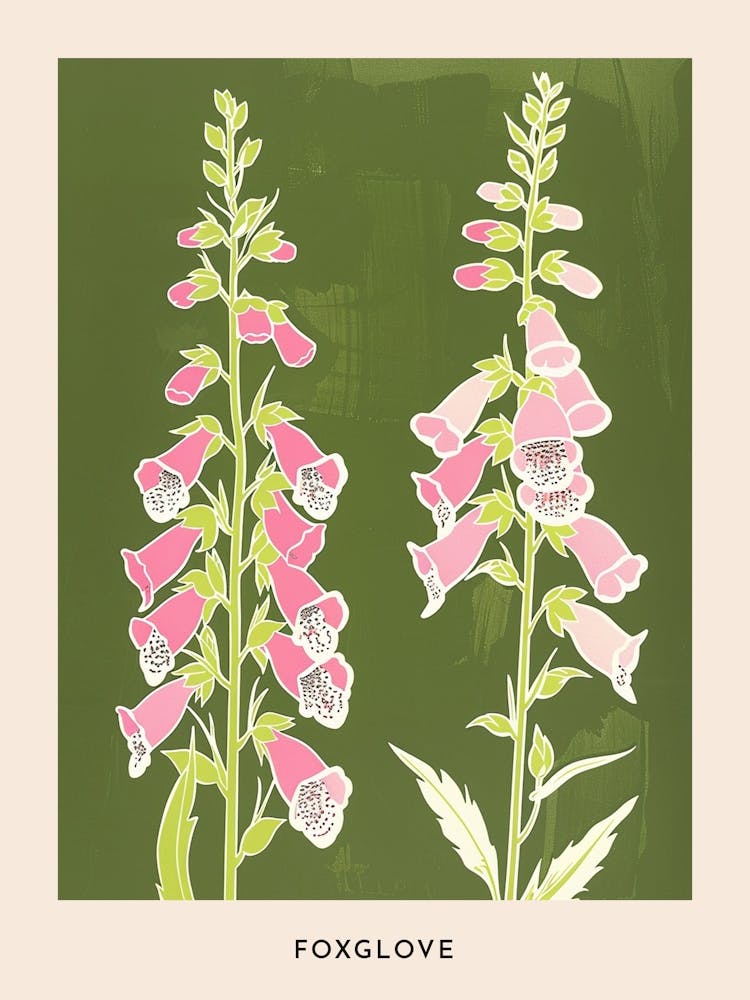 Pink & Green Foxglove 1 Flower Poster