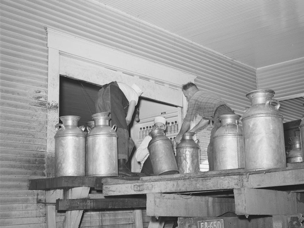 Cans Of Milk Arriving Early In The Morning At The Tillamook Cheese Plant, Tillamook, Oregon By Russell Lee