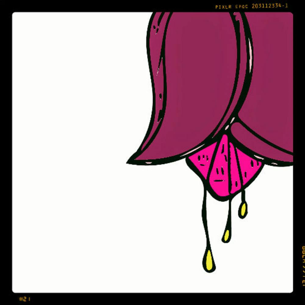 Fuchsia Flower