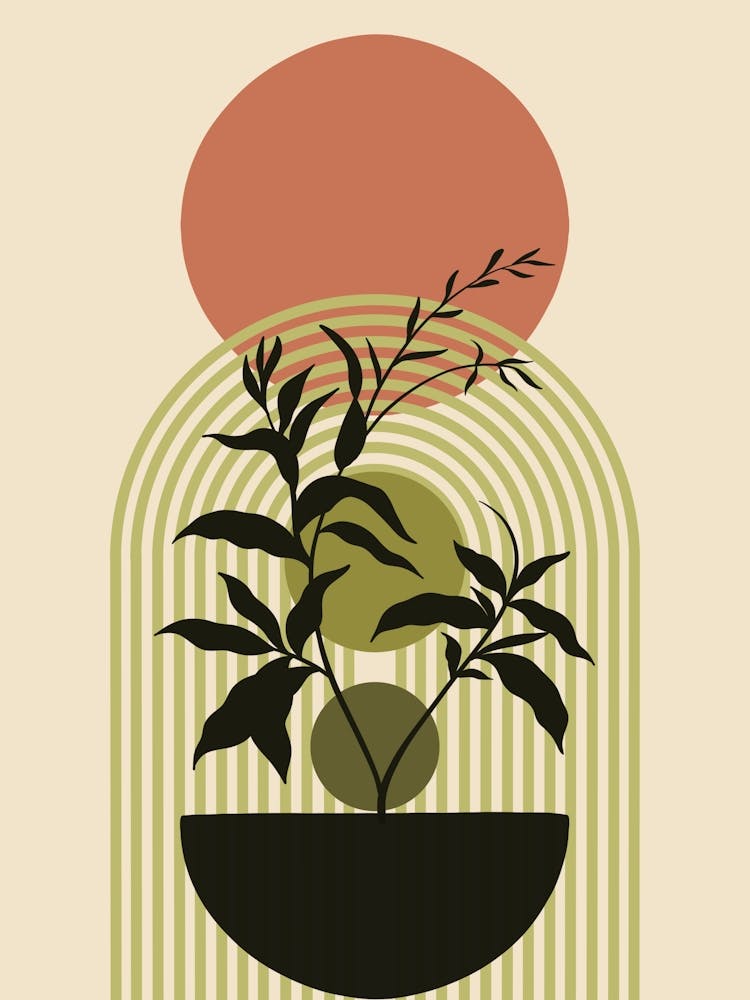 Plant In A Pot 3