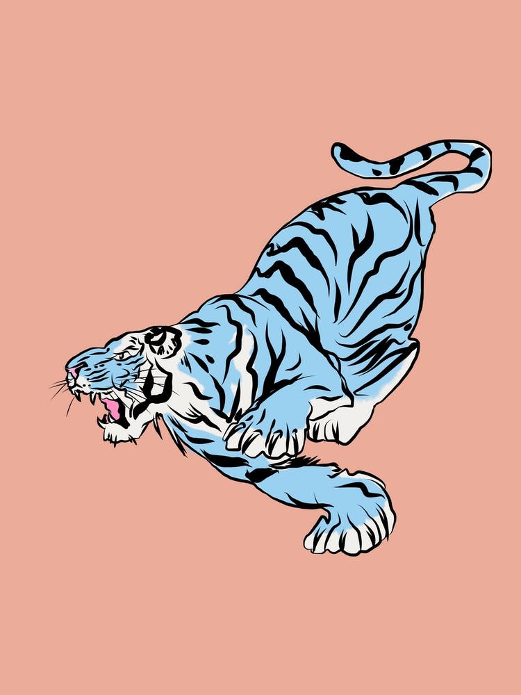 Chasing Tiger