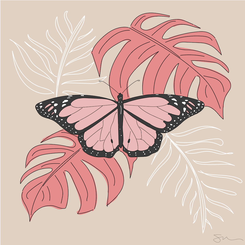 Papillon Monarque Corail