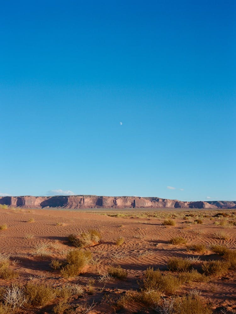 Navajo Nation V on Film