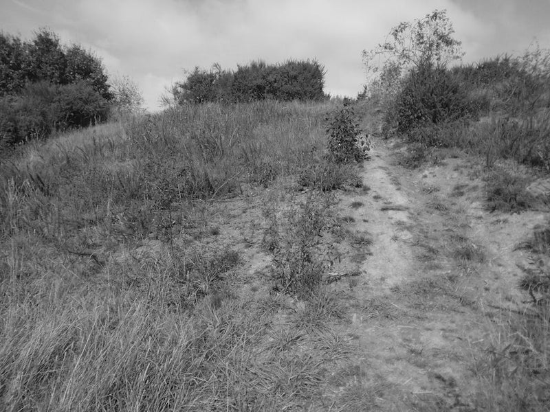 Hill in Black And White