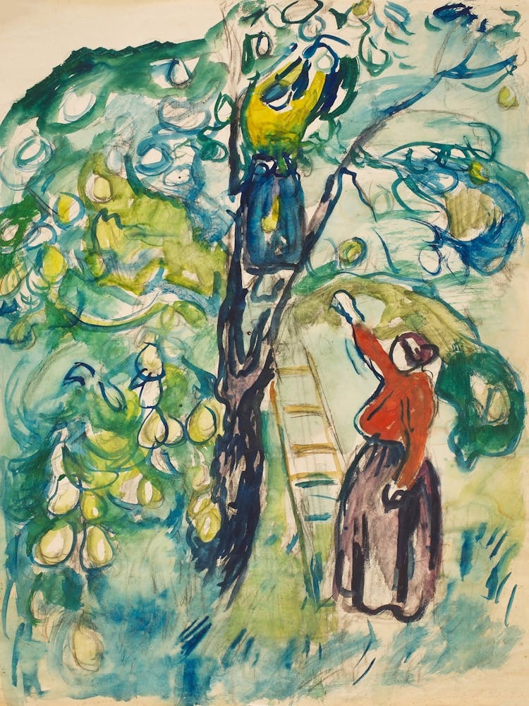 Apple Tree