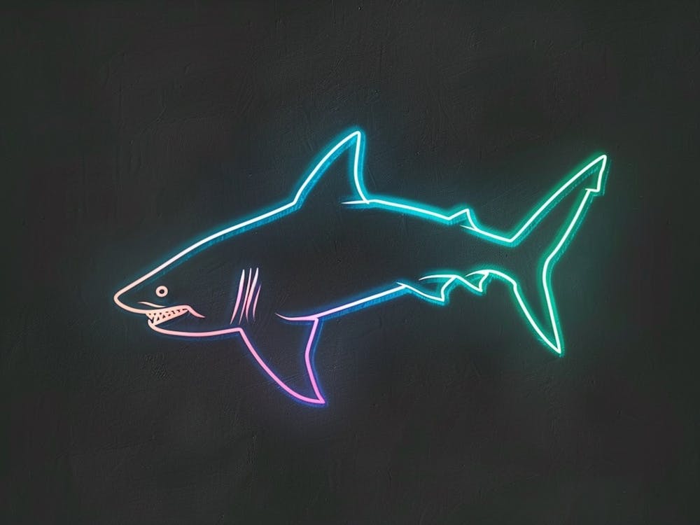 Von Neonschildern inspirierter Hai 6